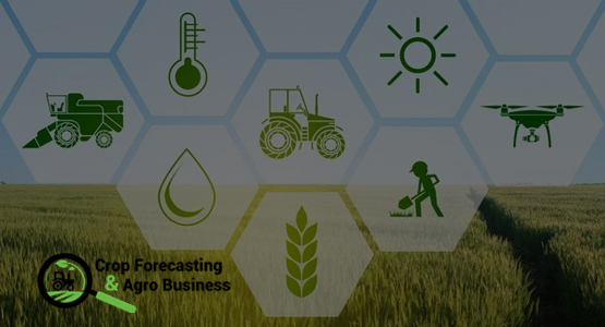 Online Crop Forecasting